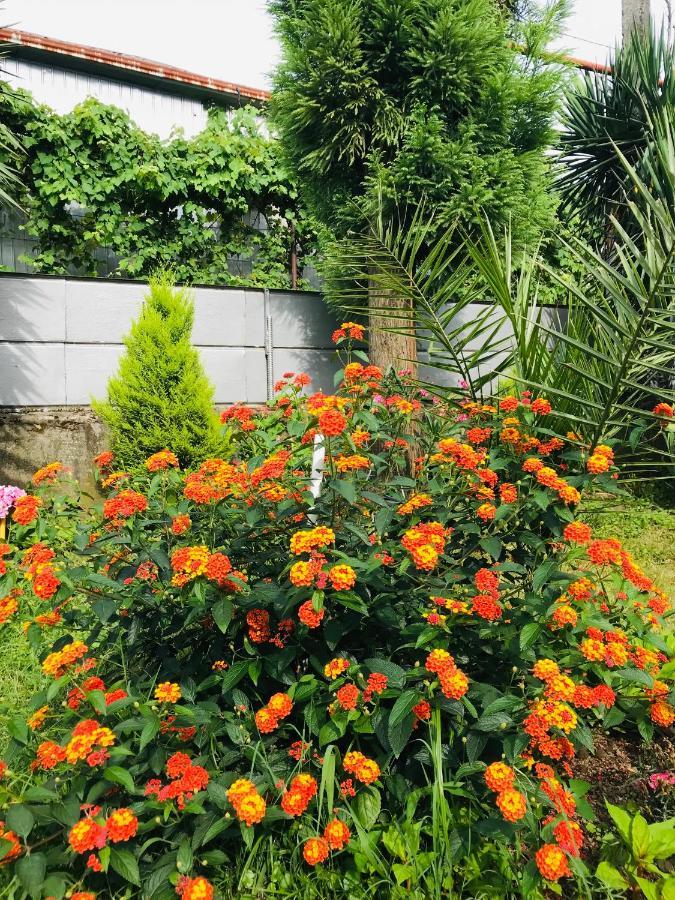 Greenview Guesthouse Batumi Exterior foto